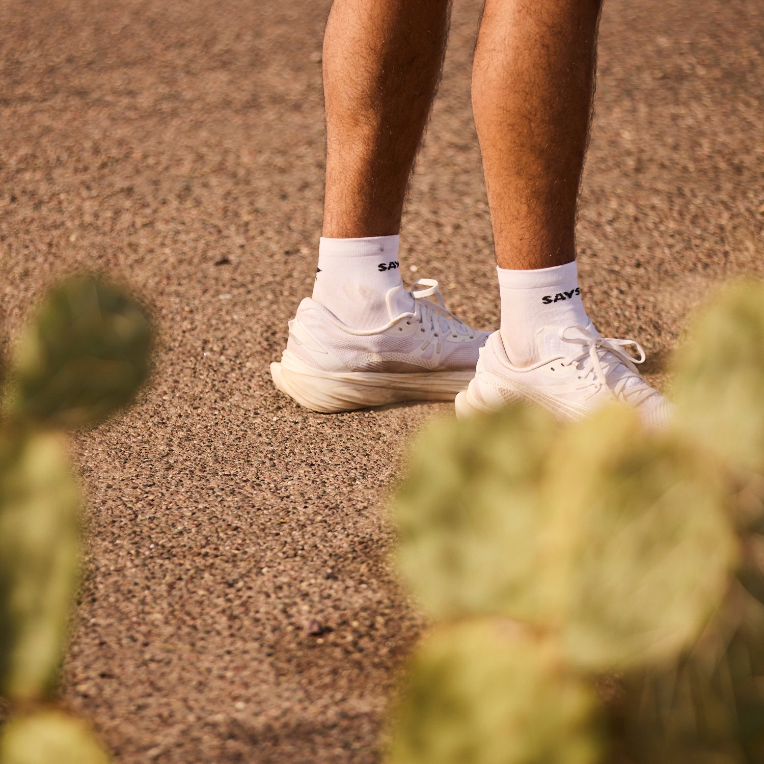 ソックス SA80007c101 Combat Quarter Socks - White [ユニセックス]